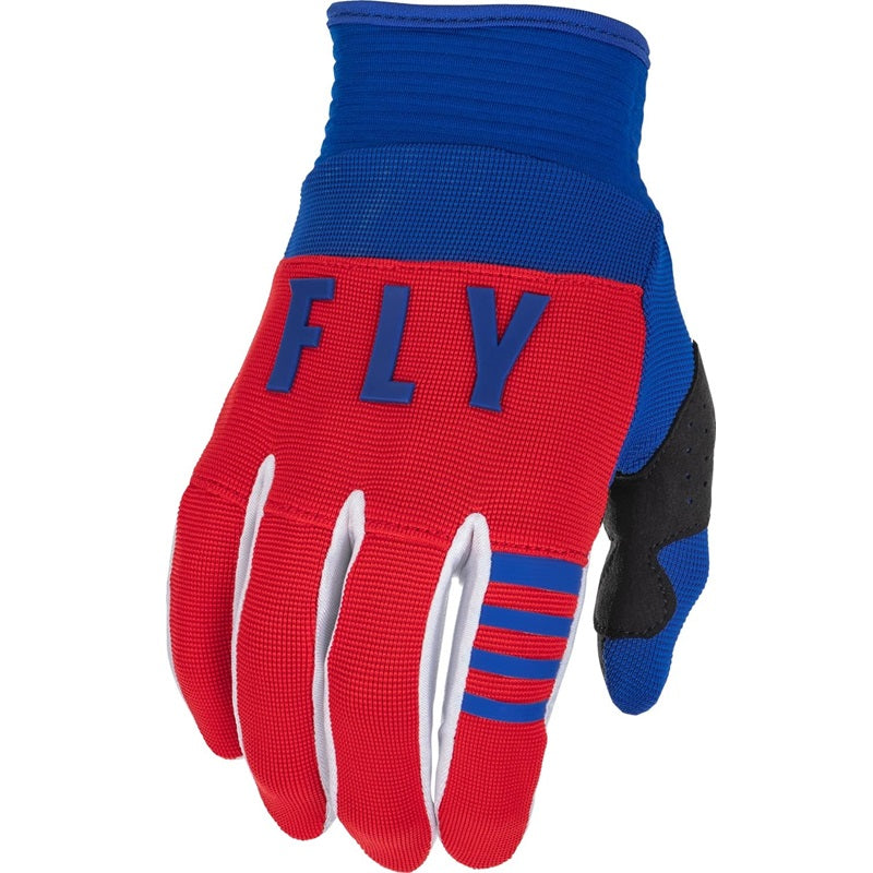 Fly Racing Adult and Youth F-16 Gloves