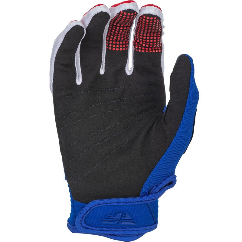 Fly Racing Adult and Youth F-16 Gloves